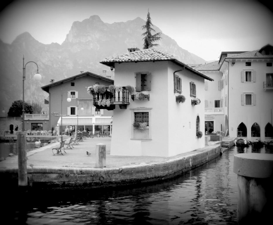 Hotel Mimosa *